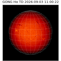 gong - 2026-09-03T11:00:22