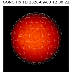 gong - 2026-09-03T12:00:22