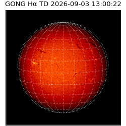 gong - 2026-09-03T13:00:22