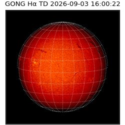 gong - 2026-09-03T16:00:22