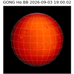 gong - 2026-09-03T19:00:02