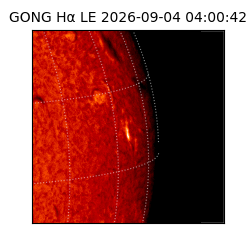 gong - 2026-09-04T04:00:42