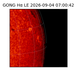 gong - 2026-09-04T07:00:42
