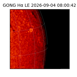 gong - 2026-09-04T08:00:42