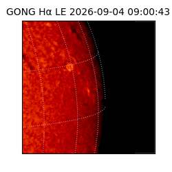 gong - 2026-09-04T09:00:43