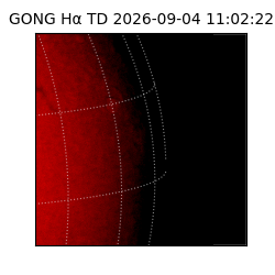 gong - 2026-09-04T11:02:22