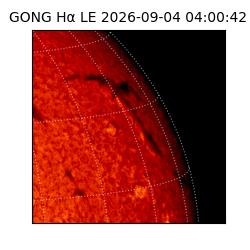 gong - 2026-09-04T04:00:42
