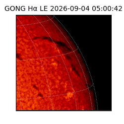 gong - 2026-09-04T05:00:42