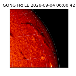 gong - 2026-09-04T06:00:42