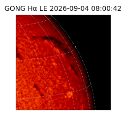 gong - 2026-09-04T08:00:42
