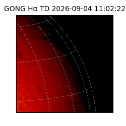 gong - 2026-09-04T11:02:22