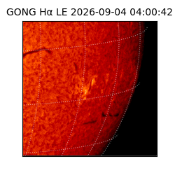 gong - 2026-09-04T04:00:42