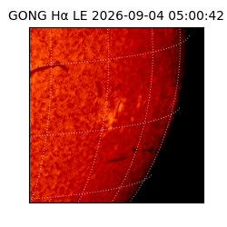 gong - 2026-09-04T05:00:42