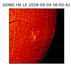 gong - 2026-09-04T06:00:42