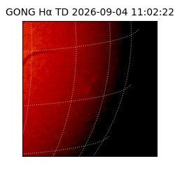gong - 2026-09-04T11:02:22