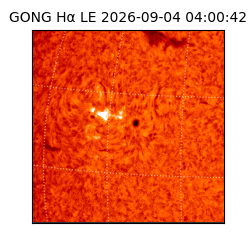 gong - 2026-09-04T04:00:42