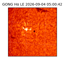 gong - 2026-09-04T05:00:42