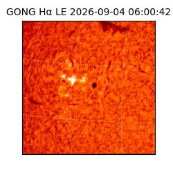 gong - 2026-09-04T06:00:42