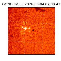 gong - 2026-09-04T07:00:42