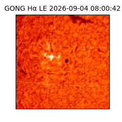 gong - 2026-09-04T08:00:42
