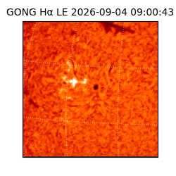gong - 2026-09-04T09:00:43