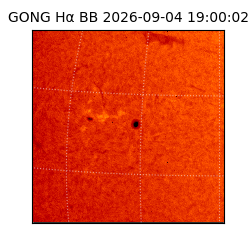 gong - 2026-09-04T19:00:02