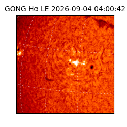 gong - 2026-09-04T04:00:42