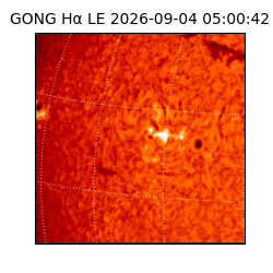 gong - 2026-09-04T05:00:42
