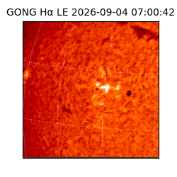gong - 2026-09-04T07:00:42