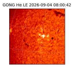 gong - 2026-09-04T08:00:42