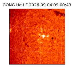 gong - 2026-09-04T09:00:43