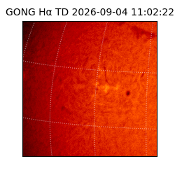 gong - 2026-09-04T11:02:22