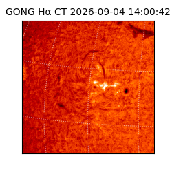 gong - 2026-09-04T14:00:42