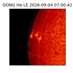 gong - 2026-09-04T07:00:42
