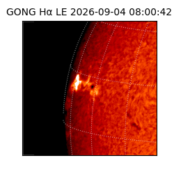 gong - 2026-09-04T08:00:42