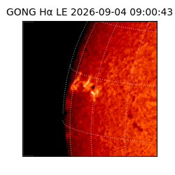 gong - 2026-09-04T09:00:43