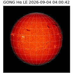 gong - 2026-09-04T04:00:42