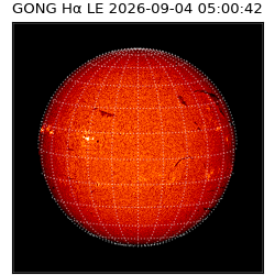 gong - 2026-09-04T05:00:42