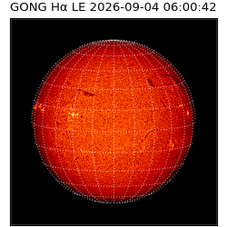 gong - 2026-09-04T06:00:42