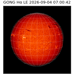 gong - 2026-09-04T07:00:42