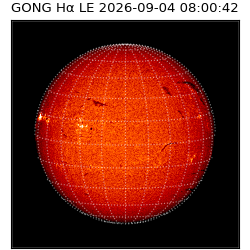 gong - 2026-09-04T08:00:42