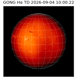 gong - 2026-09-04T10:00:22