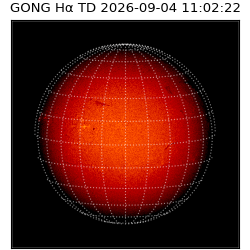 gong - 2026-09-04T11:02:22