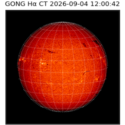 gong - 2026-09-04T12:00:42
