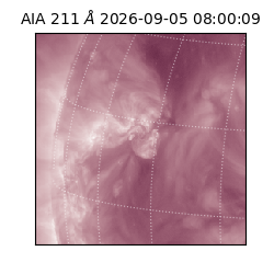 saia - 2026-09-05T08:00:09.623000