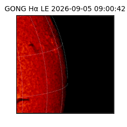 gong - 2026-09-05T09:00:42