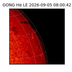 gong - 2026-09-05T08:00:42