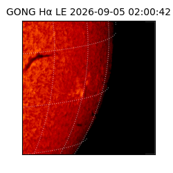 gong - 2026-09-05T02:00:42