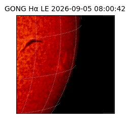 gong - 2026-09-05T08:00:42