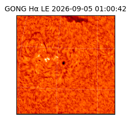 gong - 2026-09-05T01:00:42